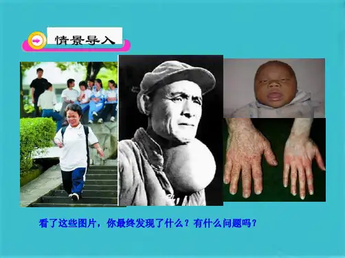 激素调节(共30张PPT)