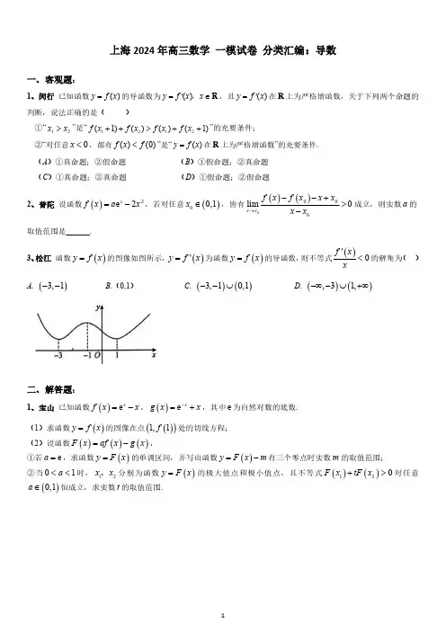 上海2024年高三数学 一模试卷 分类汇编 导数