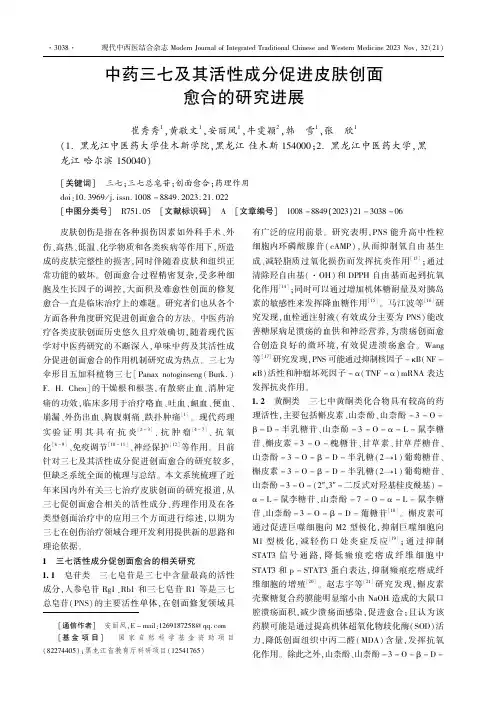 中药三七及其活性成分促进皮肤创面愈合的研究进展