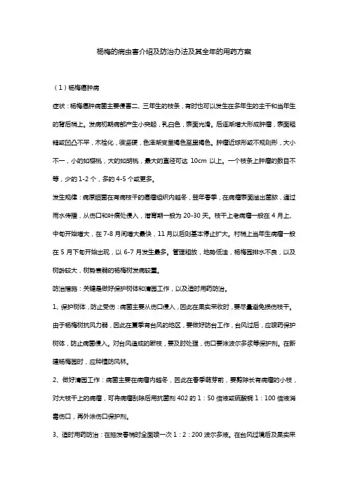 杨梅的病虫害介绍及防治办法及其全年的用药方案