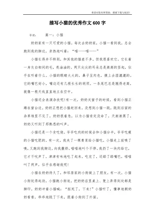 描写小猫的优秀作文600字