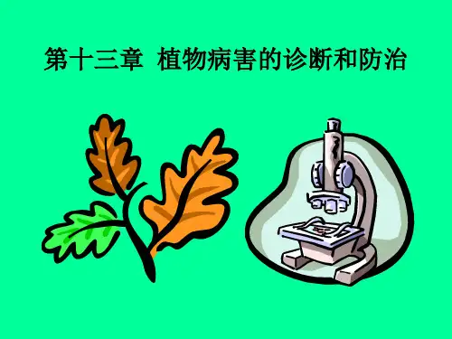 植物病害的诊断和防治(PPT54页)