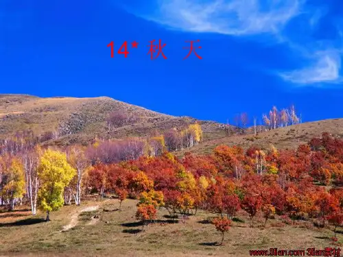 新人教版七年级语文上册14《秋天》教学课件