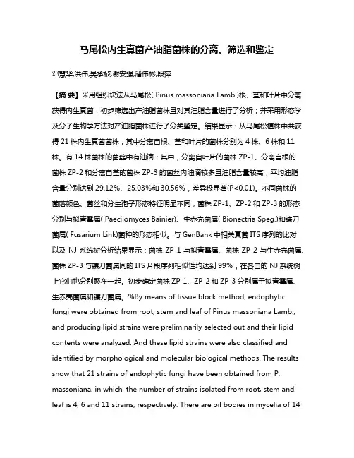 马尾松内生真菌产油脂菌株的分离、筛选和鉴定