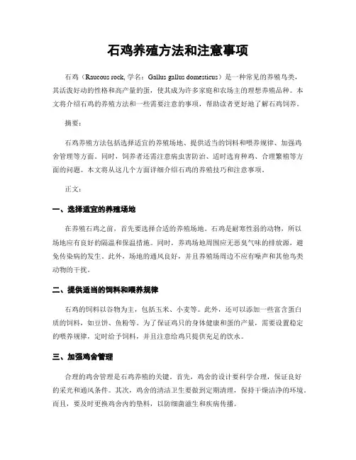 石鸡养殖方法和注意事项