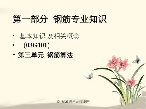 梁柱板G钢筋平法标注图解