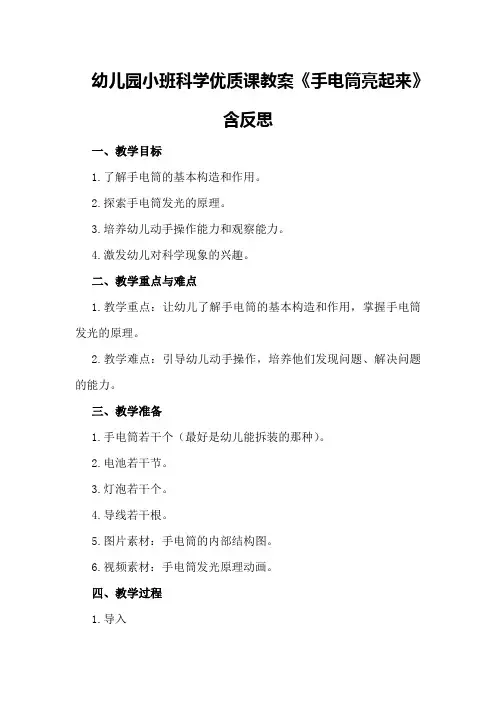 幼儿园小班科学优质课教案《手电筒亮起来》含反思
