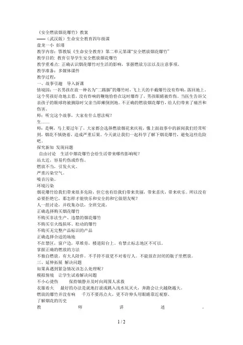 《安全燃放烟花爆竹》教案