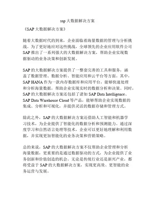 sap大数据解决方案