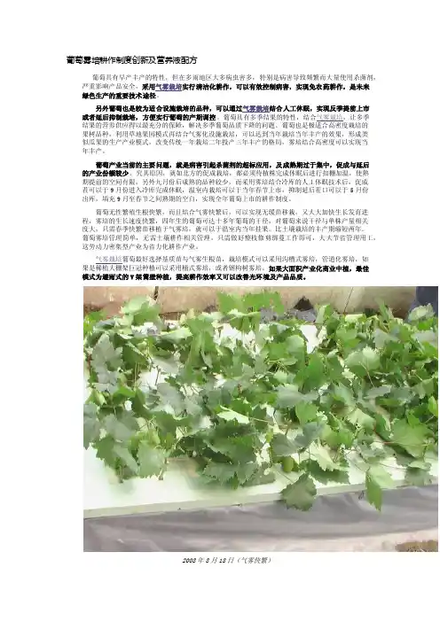 葡萄雾培耕作制度创新及营养液配方