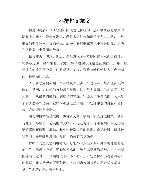 小荷作文范文
