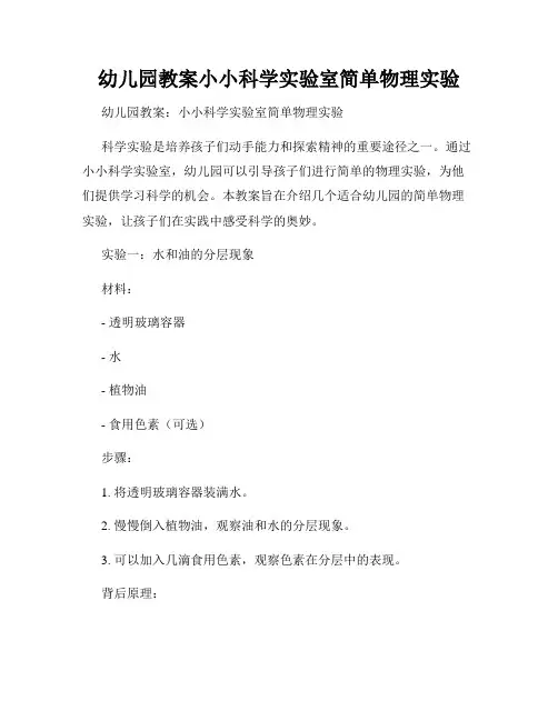 幼儿园教案小小科学实验室简单物理实验
