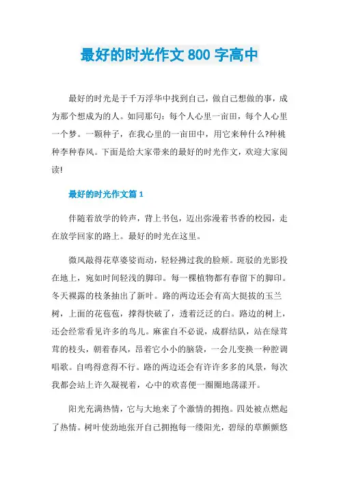 最好的时光作文800字高中