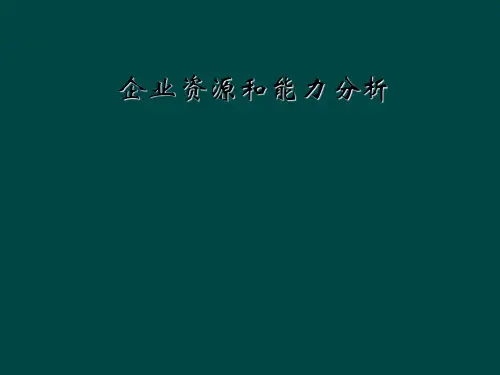  企业资源和能力分析