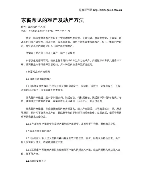 家畜常见的难产及助产方法