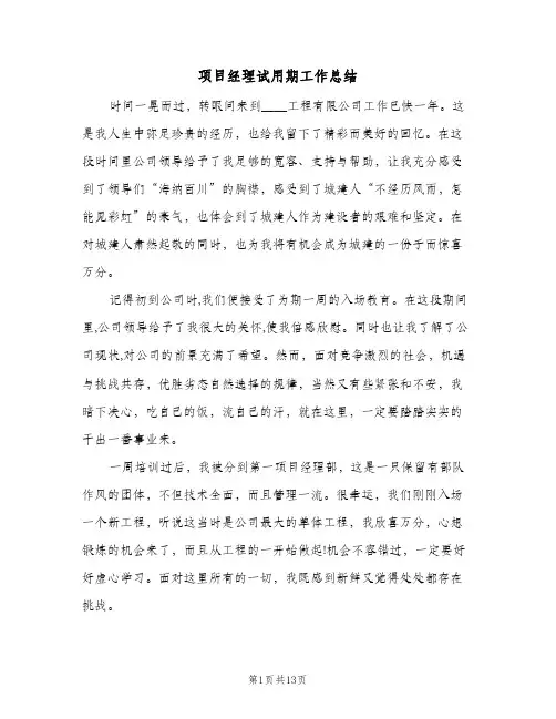 项目经理试用期工作总结(5篇)