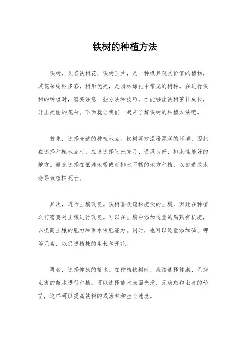 铁树的种植方法