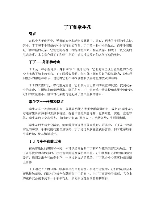 丁丁和牵牛花