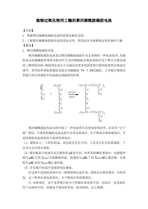 植物过氧化物同工酶的聚丙烯酰胺凝胶电泳实验指导