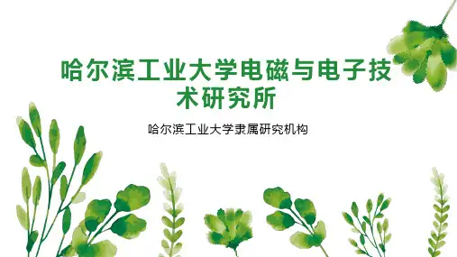 哈尔滨工业大学电磁与电子技术研究所