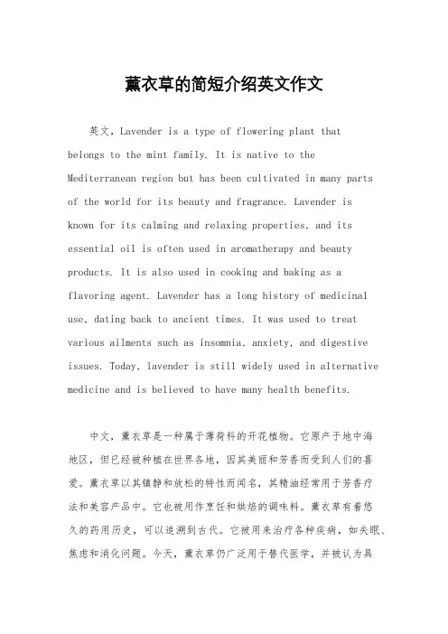 薰衣草的简短介绍英文作文