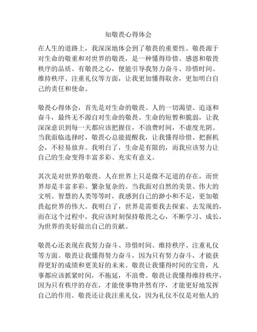 知敬畏心得体会