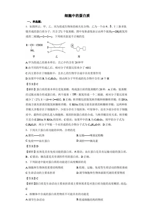 中图版必修一 细胞中的蛋白质 作业