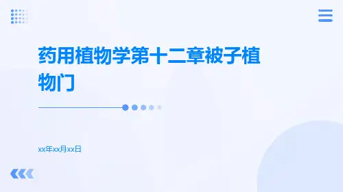 药用植物学第十二章被子植物门