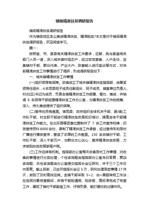 镇级精准扶贫调研报告