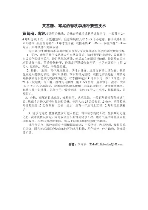 黄菖蒲、鸢尾的春秋季播种繁殖技术