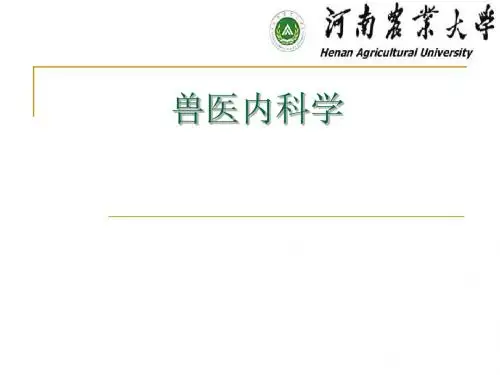 兽医内科学2