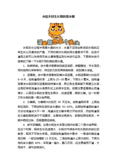 水稻不同生长期的需水量