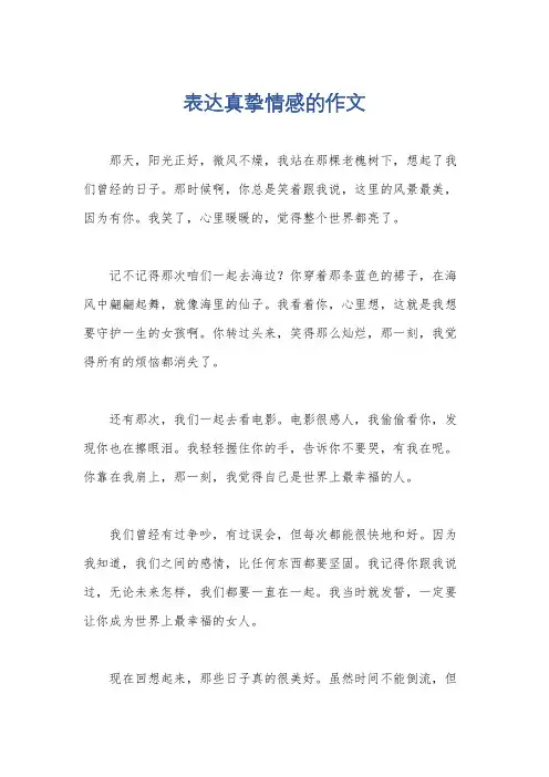表达真挚情感的作文