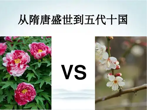 统编版高中历史《从隋唐盛世到五代十国》优质课件1