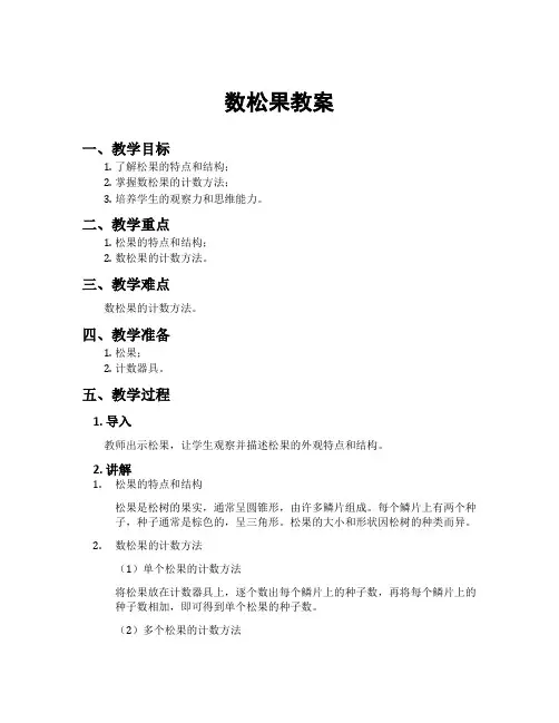 数松果教案