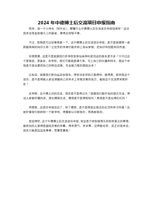 2024年中德博士后交流项目申报指南