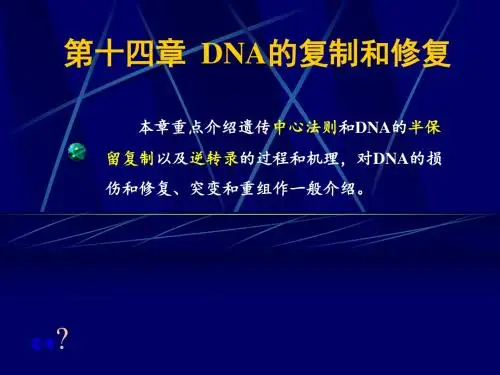 生物化学·DNA的复制和修复-PPT文档资料