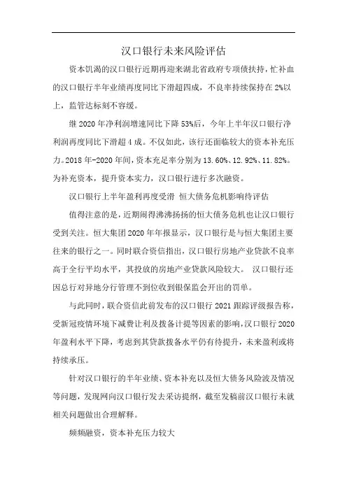 汉口银行未来风险评估