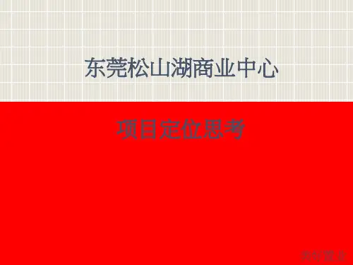 东莞松山湖商业中心项目定位沟通方案