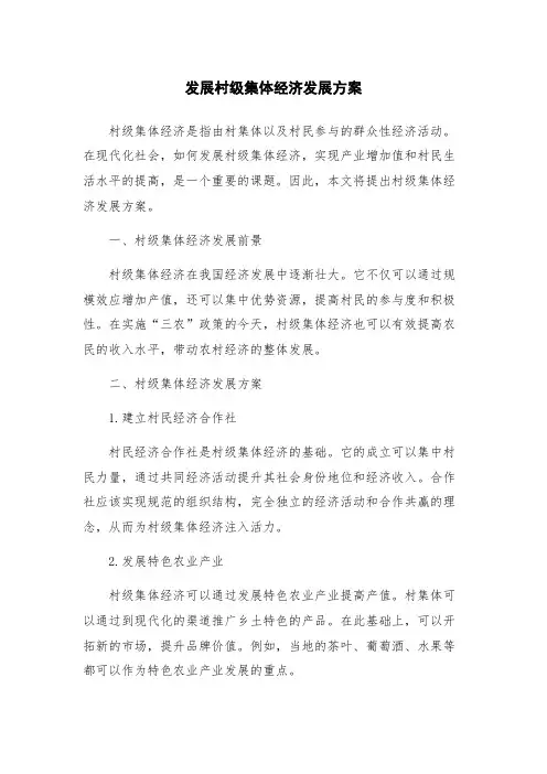 发展村级集体经济发展方案