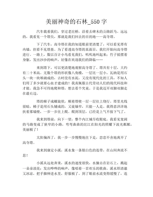 美丽神奇的石林_550字