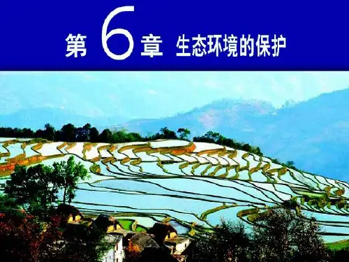 高中生物必修三第六章生态环境的保护PPT课件