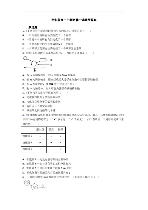 浙科版高中生物必修一试卷及答案