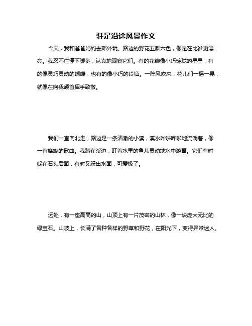 驻足沿途风景作文