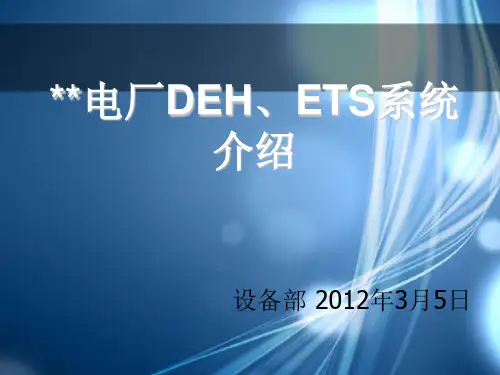 MW汽轮机DEH系统介绍