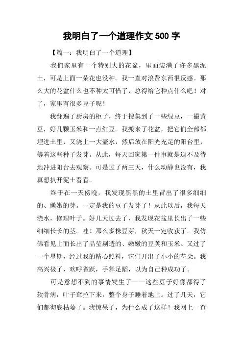 我明白了一个道理作文500字