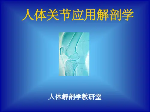 关节解剖图谱+1ppt课件
