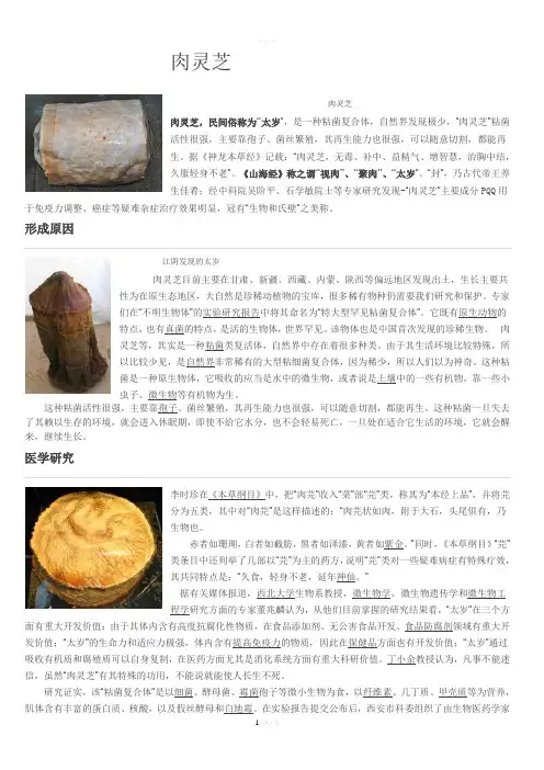 太岁肉灵芝