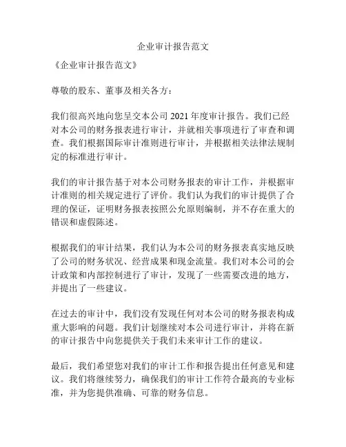 企业审计报告范文