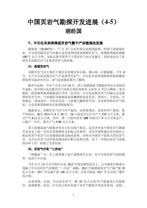 中国页岩气勘探开发进展(4-5)